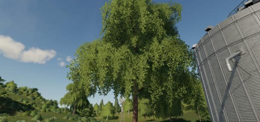 Deciduous tree placeable v 1.0