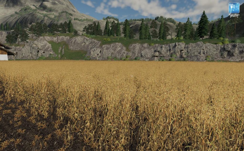 Forgotten Plants Oat V 10 Fs19 Mod 2448