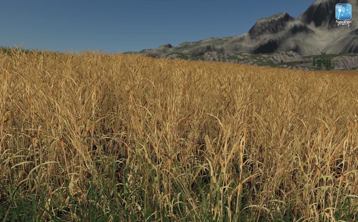 Forgotten Plants - Wheat / Barley v 1.0
