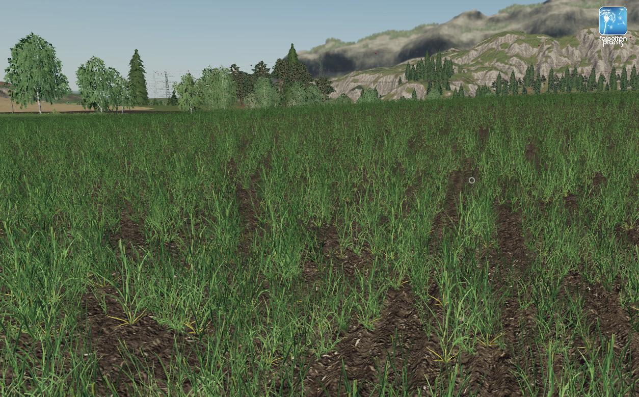 Forgotten Plants - Wheat / Barley v 1.0