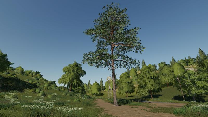Pine can be placed v 1.0