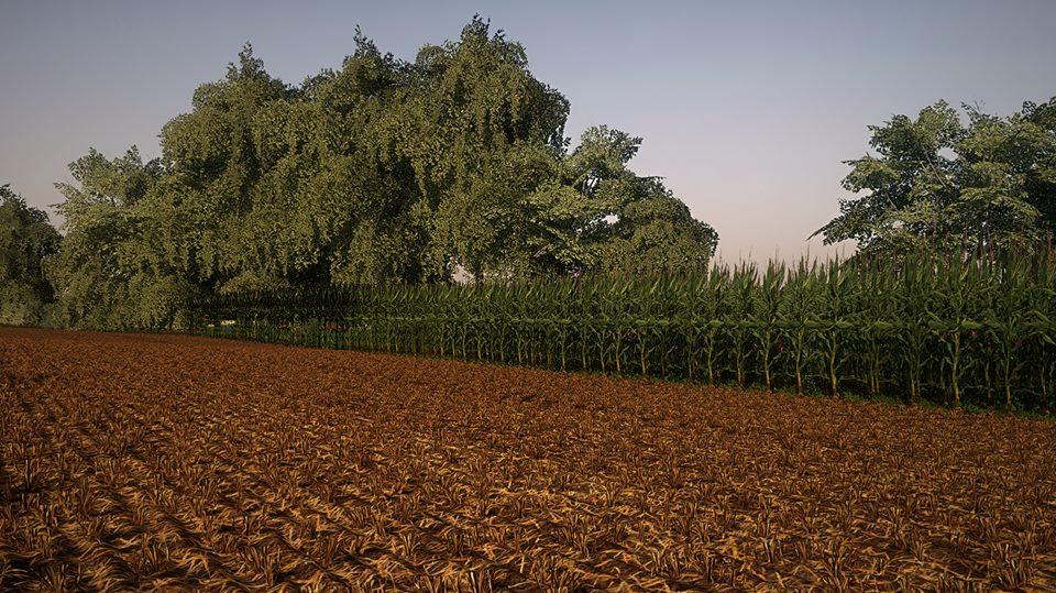Corn and Soybean textures v 1.0