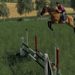 Obstacles Horse sport v 1.0