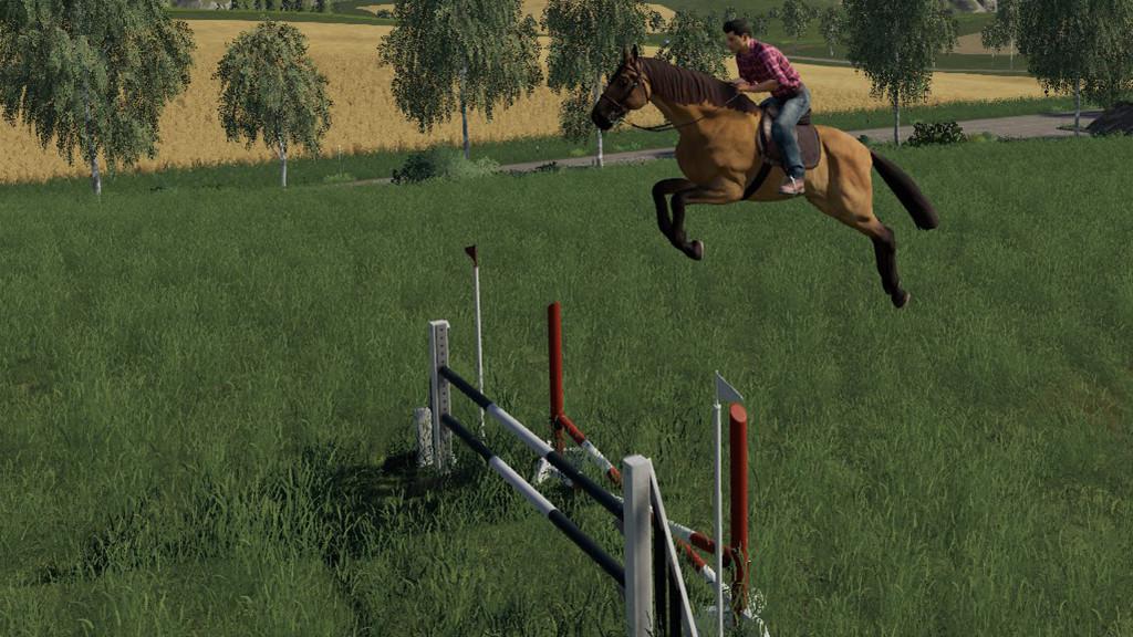 Obstacles Horse sport v 1.0