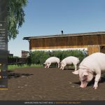 Pig Breeding / Schweinezucht Mod v 1.0