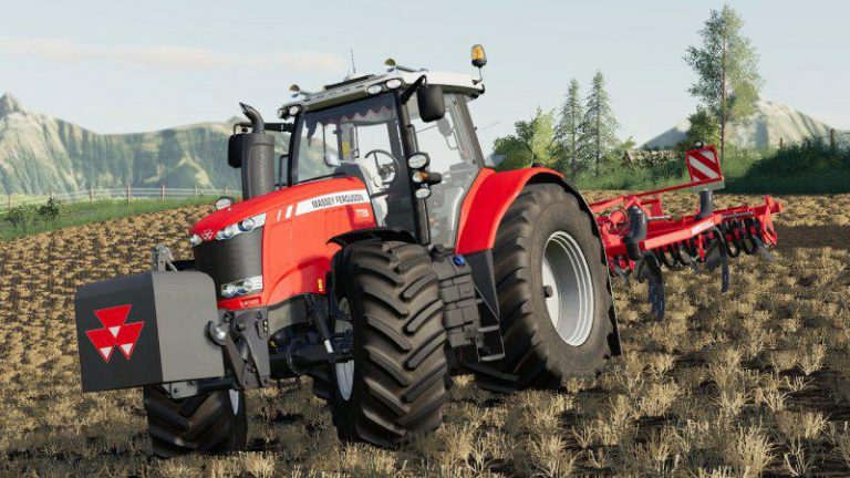 Massey Ferguson Weight V 10 Fs19 Mod 3614