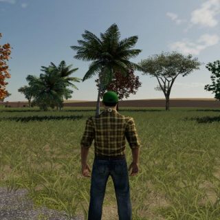 35 TREES PACK V1.1.5 - FS19 mod - FS19.net