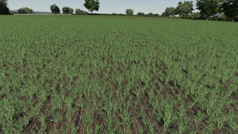 Realistic Cereal and Canola Crop Densities v1.0 - FS19 mod - FS19.net.