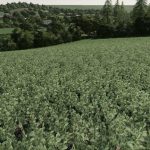 Realistic Cereal and Canola Crop Densities v1.0