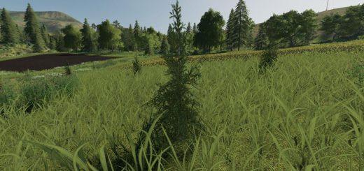Plantable Spruce Trees v1.0