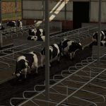 COWSHED V1.0