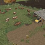 OUTDOOR COW PASTURE V1.0