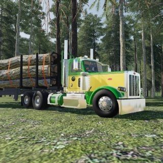 ULTIMATE LOGGING MAP V1.1.1 - FS19 mod - FS19.net