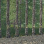 PLACEABLE SKIDTRAIL TREES V1.0