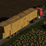 LOW LOADER V1.0