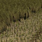 CANOLA TEXTURE V1.0