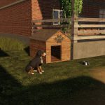 POLISH DOG HOUSE V1.0