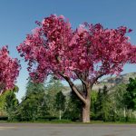 TREE PACK GRANNY TANA V1.0