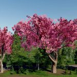 TREE PACK GRANNY TANA V1.0