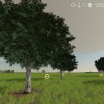 OLIVE TREE TRAILER EDITION V1.0