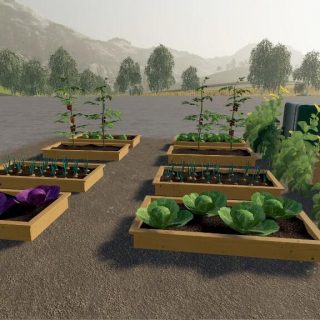 VEGETABLE GARDEN V1.0 - FS19 mod - FS19.net