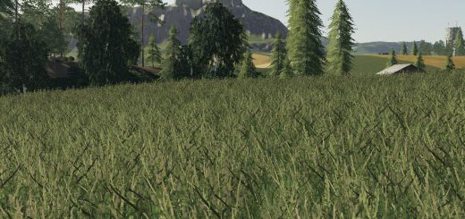 GRASS TEXTURE V1.0