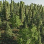 FOREST AND SAWMILL SOUNDS (PREFAB) V1.0