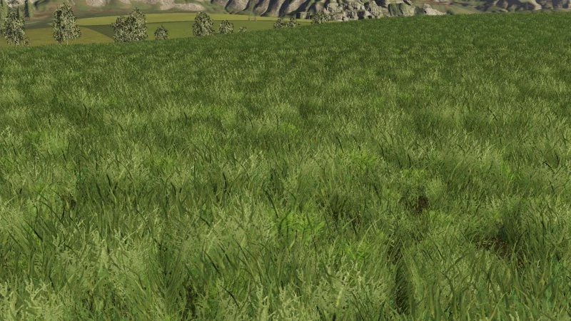 GRASS TEXTURE FOR FS19 V1.0