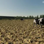 MIDWEST DAIRY MAP V1.0