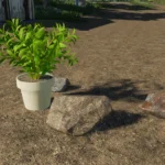 Placeable Flowerpots & Rocks v1.0